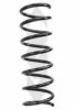 SPIDAN 86658 Coil Spring